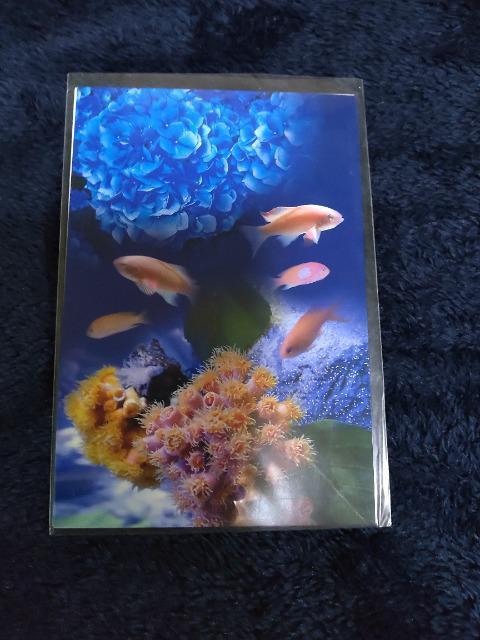 江ノ電 355 & 新江ノ島水族館  ポストカード < ホビー  江ノ電 355 & 新江ノ島水族館  ポストカード < ホビーの