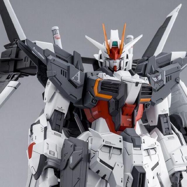 限定 MG 1/100 ガンダムエクスインパルス < ホビー  限定 MG 1/100 ガンダムエクスインパルス  < ホビーの