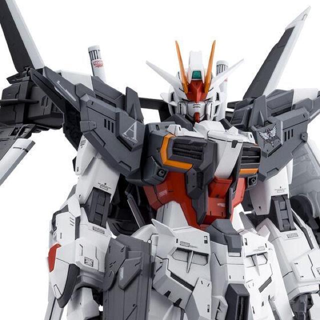 限定 MG 1/100 ガンダムエクスインパルス < ホビー  限定 MG 1/100 ガンダムエクスインパルス < ホビーの