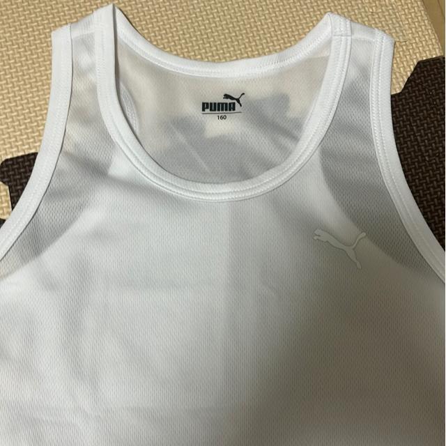 �v�[�}�̃^���N�g�b�v�@�V���c  �� �u�����h�� 