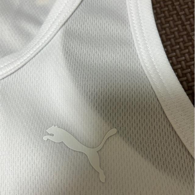 �v�[�}�̃^���N�g�b�v�@�V���c �� �u�����h�� 