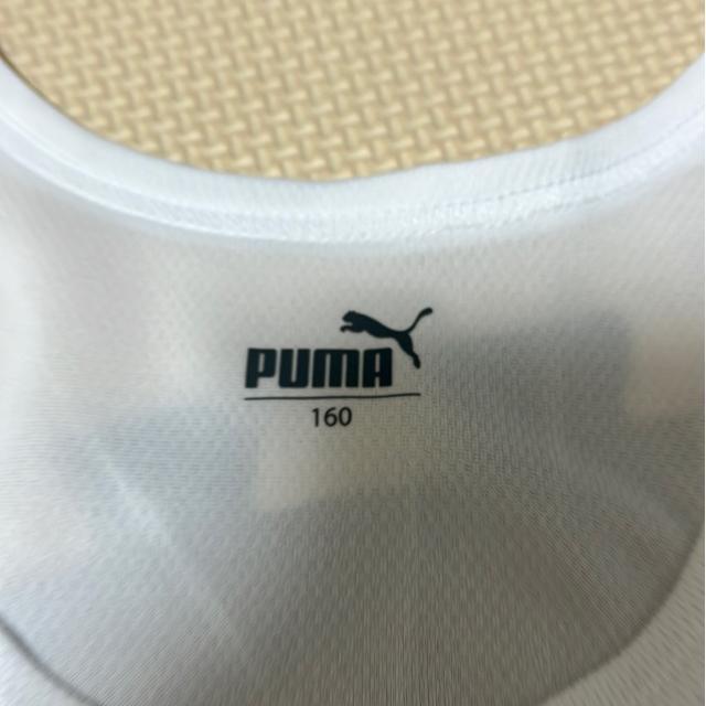 �v�[�}�̃^���N�g�b�v�@�V���c �� �u�����h�� 