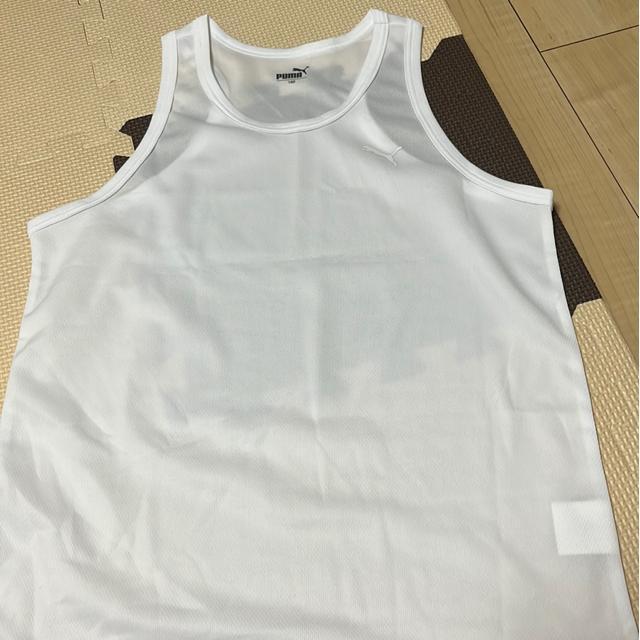 �v�[�}�̃^���N�g�b�v�@�V���c �� �u�����h�� 