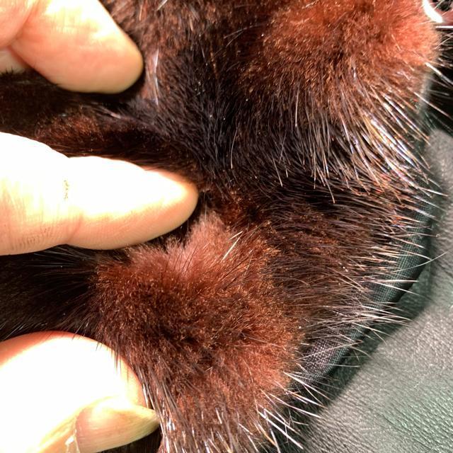 90's SOLOMON 本革 レザー ファー襟 カーコート レザーコート Lサイズ ヴィンテージ < 男性ファッション  90's SOLOMON 本革 レザー ファー襟 カーコート レザーコート Lサイズ ヴィンテージ < 男性ファッションの