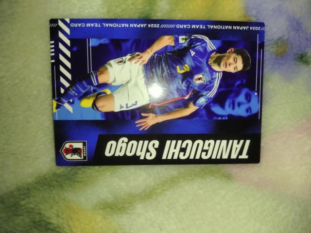 カルビー サッカーチップス カード < トレーディングカード カルビー サッカーチップス カード < トレーディングカードの