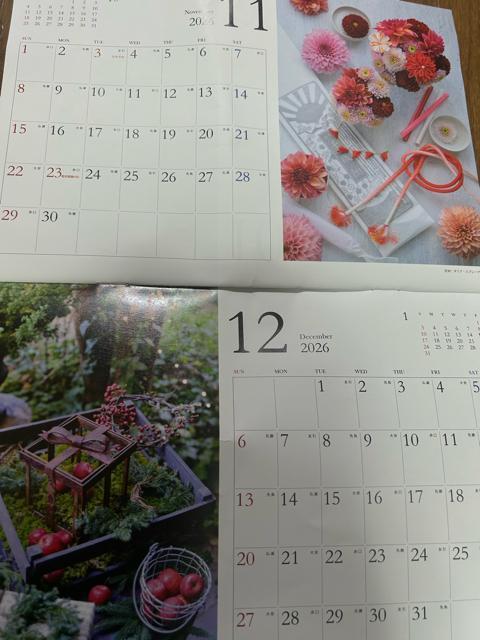 2026�N �J�����_�[ �t�����[ �� �ʐ^ ������� �C���e���A �M�t�g �� �z�r�[�� 