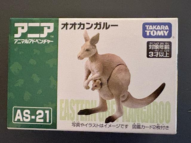 アニア オオカンガルー < ホビー アニア オオカンガルー < ホビーの