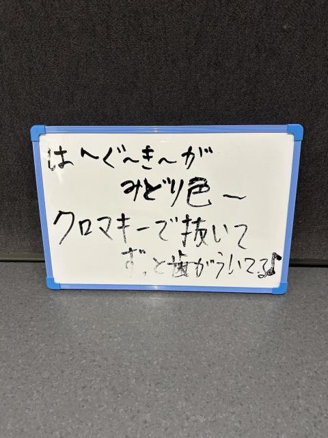 �X�e�[�W�Ŏg�p�����z���C�g�{�[�h�i�́[���[���[���݂ǂ�F�[�E�E�E�j  �� �^�����g�O�b�Y�� 