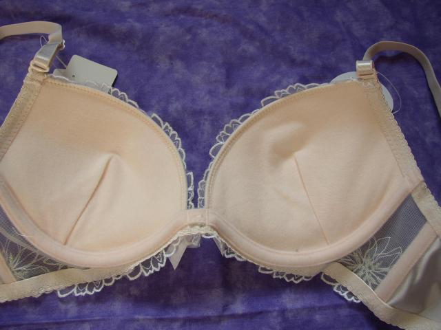 Cgy[sNnƎhJcVOlC[  t@bV 