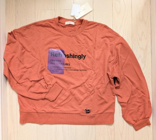 PTO~PUOPapellapizV[OfUCg[i[Vi   LbY/xr[ 