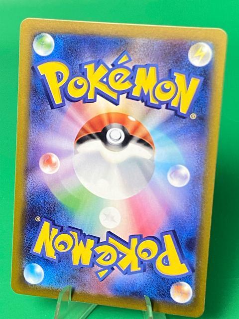 �|���`���𒅂��s�J�`���E 274/XY-P �v���� �|�P�J ���K���b�N�E�U �� �� �g���[�f�B���O�J�[�h�� 