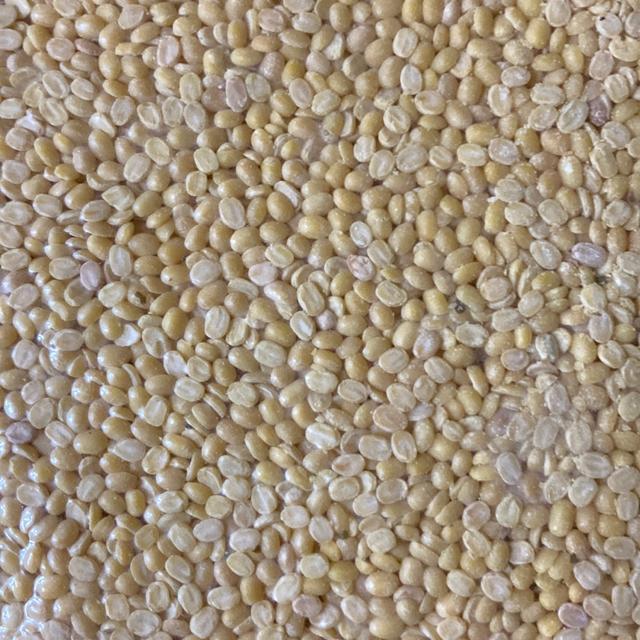 �����O���@�Γ��@�疳���@3kg  �� �O����/�h�����N�� 