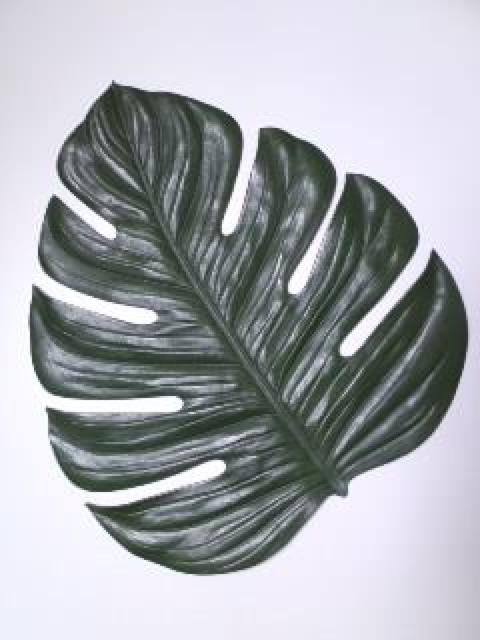 AWAG݁傫ȃXetρVi   CeA/Ct 