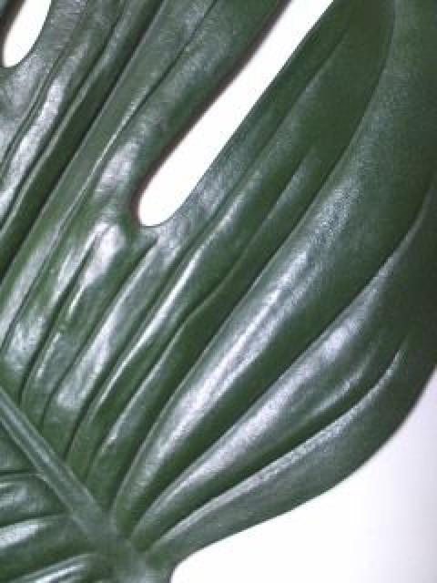 AWAG݁傫ȃXetρVi  CeA/Ct 