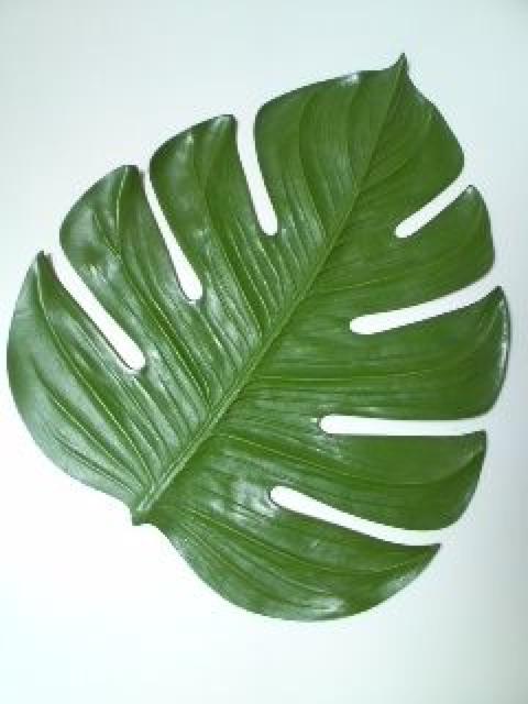 AWAG݁傫ȃXetρVi  CeA/Ct 