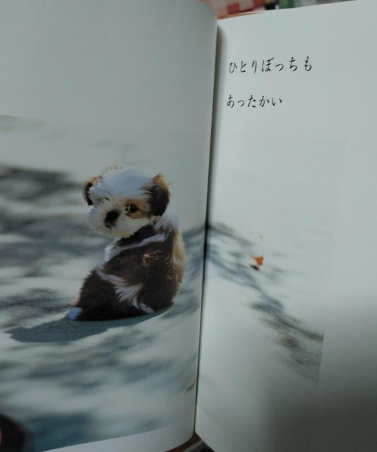 SILENT BACK DOG  TCgEobN[hbO]  {/G 