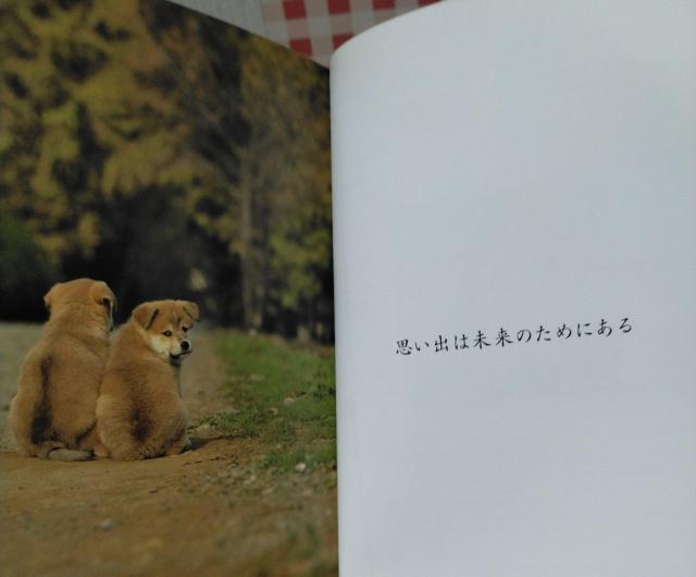 SILENT BACK DOG  TCgEobN[hbO]  {/G 