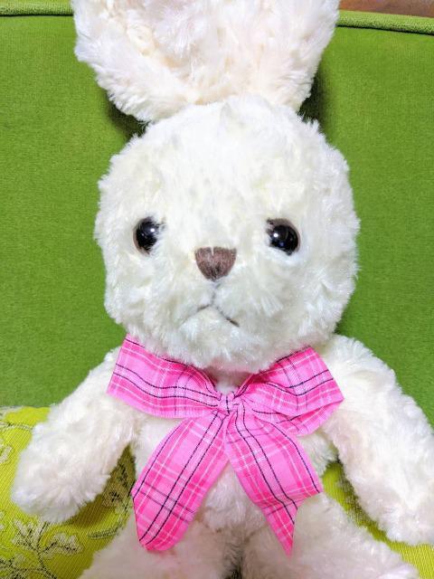 ag/ʂ/qNnEX/HIROKUN HOUSE/ETM//ʂ/|[`/ʂ݃|[`/   