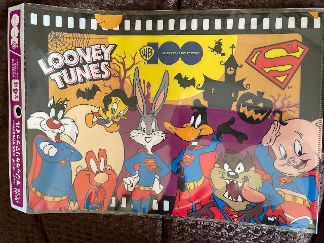 Vi򃏁[i[uU[X100NfUC }WbNNAt@C ATq   zr[ 