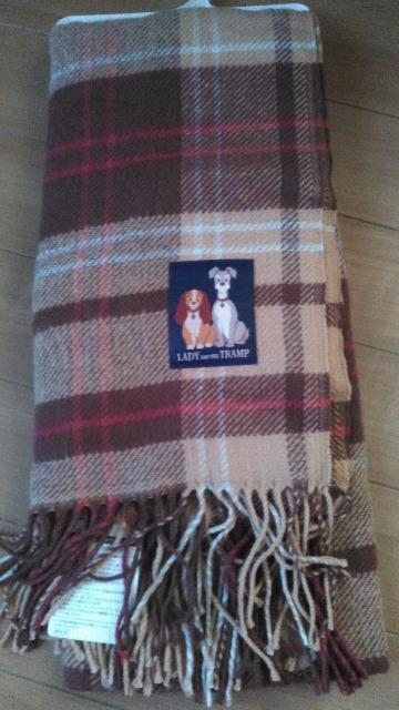 ���]�[�g�g�����v&���f�B�}�t���[  �� �C���e���A/���C�t�� 