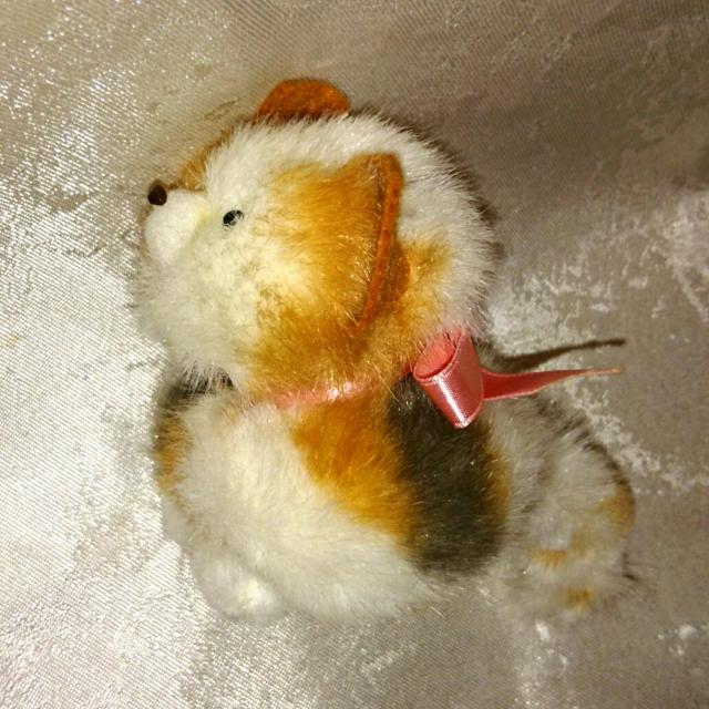 昭和 レトロ 手のり猫 プチ猫 豆猫 ぬいぐるみ ネコ 昭和 猫 < おもちゃ  昭和 レトロ 手のり猫 プチ猫 豆猫 ぬいぐるみ ネコ 昭和 猫 < おもちゃの