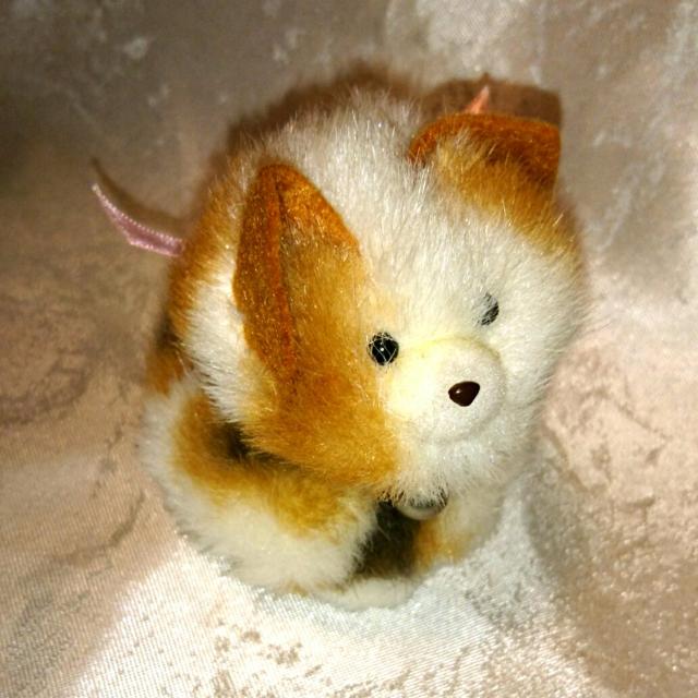 昭和 レトロ 手のり猫 プチ猫 豆猫 ぬいぐるみ ネコ 昭和 猫 < おもちゃ  昭和 レトロ 手のり猫 プチ猫 豆猫 ぬいぐるみ ネコ 昭和 猫 < おもちゃの