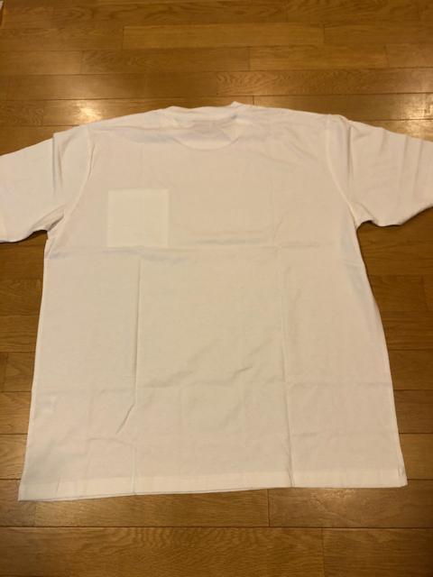 Dickies fBbL[Y  |PbgtTVc 傫size 5L3XL  jt@bV 