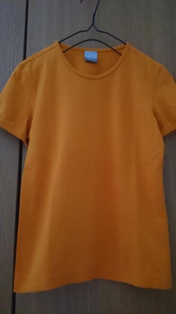 NIKE ナイキ☆Tシャツ★キレイ色☆綿100%★シンプル☆ < ブランド NIKE ナイキ☆Tシャツ★キレイ色☆綿100%★シンプル☆ < ブランドの