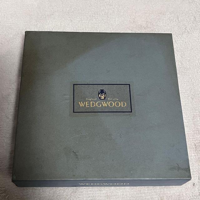 gp EGbWEbh ChXgx[ EBU[gC  19cm WEDGWOOD WILD STRAWBERRY  CeA/Ct 