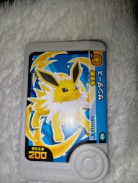 �|�P�����t�����_���T���_�[�X�����g�p  �� �g���[�f�B���O�J�[�h�� 