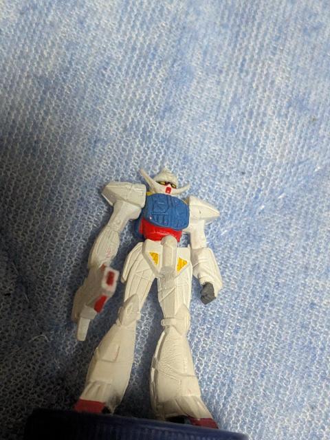 �W���{�g���L���b�v�t�B�M���A �� �z�r�[�� 