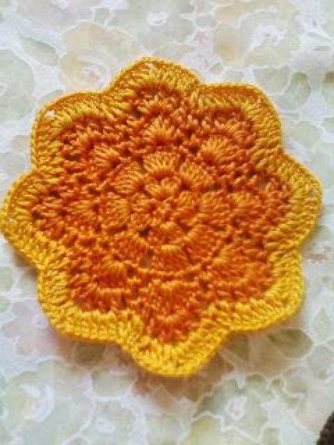 ҂ݓFhC[񖇑g IW&Œ  CeA/Ct 