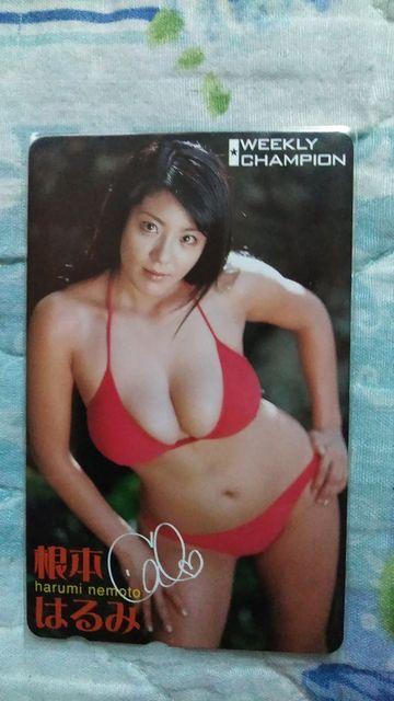 {͂݁WEEKLY CHAMPION@VietHJ[h   ^gObY 