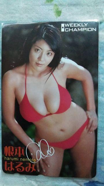 {͂݁WEEKLY CHAMPION@VietHJ[h  ^gObY 