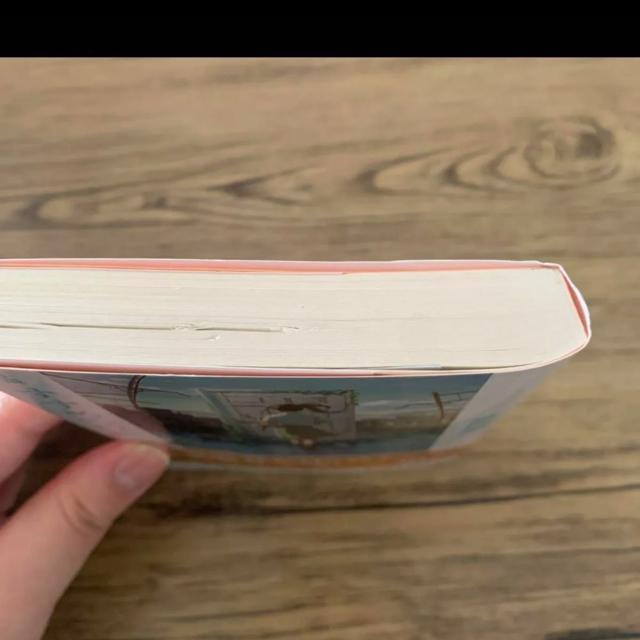 すずめの戸締まり。小説 < 本/雑誌  すずめの戸締まり。小説 < 本/雑誌の