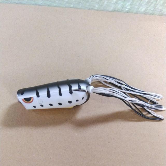 フロッグ1 < レジャー/スポーツ  フロッグ1  < レジャー/スポーツの