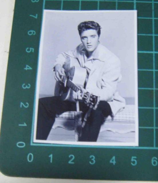 �G���r�X�E�v���X���[�@�X�e�b�J�[  �� �z�r�[�� 