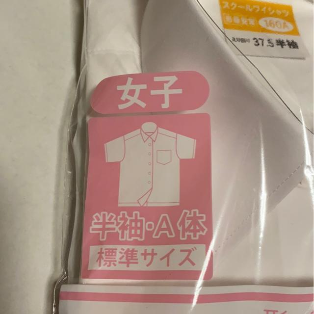 qpXN[VcCVc160A  LbY/xr[ 