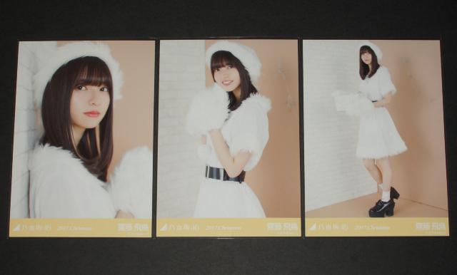 T؍46@V򒹁@ʐ^TRv@2017.NX}X  ^gObY 