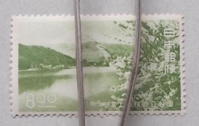 �y���g�p�z��P�����������@�x�m�����i�Q���j�@�W�~�@�P��  �� �z�r�[�� 