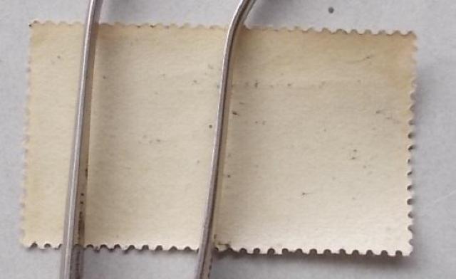 �y���g�p�z��P�����������@�x�m�����i�Q���j�@�W�~�@�P�� �� �z�r�[�� 