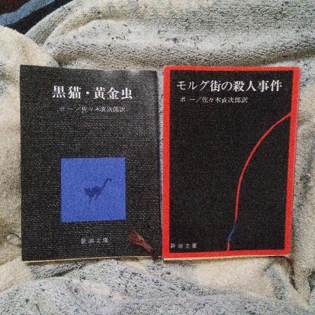 ���L�E�������^�����O�X�̎E�l����  �G�h�K�[�E�A�����E�|�[  �� �{/�G���� 