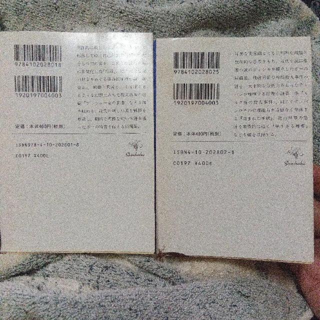 ���L�E�������^�����O�X�̎E�l����  �G�h�K�[�E�A�����E�|�[ �� �{/�G���� 