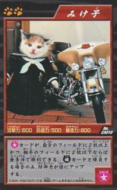 なめ猫 喧嘩上等バトルカード 4種【B-1】 < ホビー  なめ猫 喧嘩上等バトルカード 4種【B-1】 < ホビーの