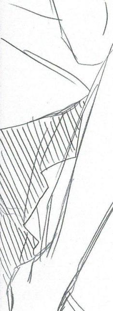 B6TCYCXg IWi ̎q  t IWi