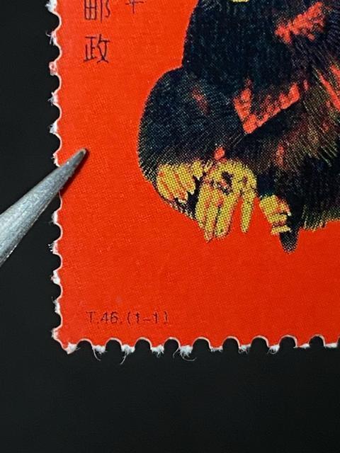 �y���󏭁z�����؎� 1980�N �\�N �ԉ� T46 �c2�A ���؎� �M�\�N �����A �S�[���f�������L�[ �ԉ� 2���A �� �z�r�[�� 