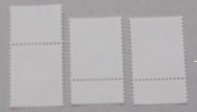 �y���g�p�z�ߘa�؎�@�V���z�@�Q�V�O�~�@�_�@CM�㉺�E���ŕt���@�R�_�Z�b�g �� �z�r�[�� 