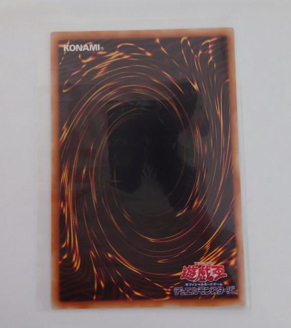 VYfGX^[Y ItBVJ[hQ[ gĐ 㩃J[h 60312997 739