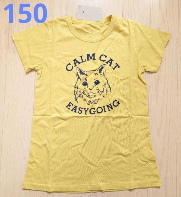 150★綿100%★ねこちゃん★ロング丈半袖Tシャツ★新品★送料無料 < キッズ/ベビー  150★綿100%★ねこちゃん★ロング丈半袖Tシャツ★新品★送料無料  < キッズ/ベビーの