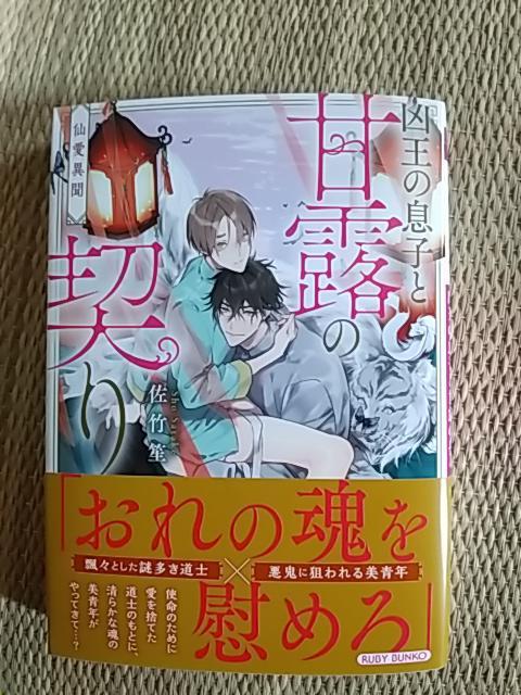 判ٕ@̑qƊØǏ_@@|/ڂ 